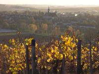 Chablis