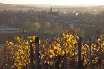 Chablis
