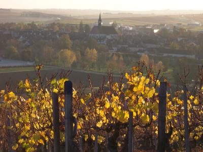 Chablis