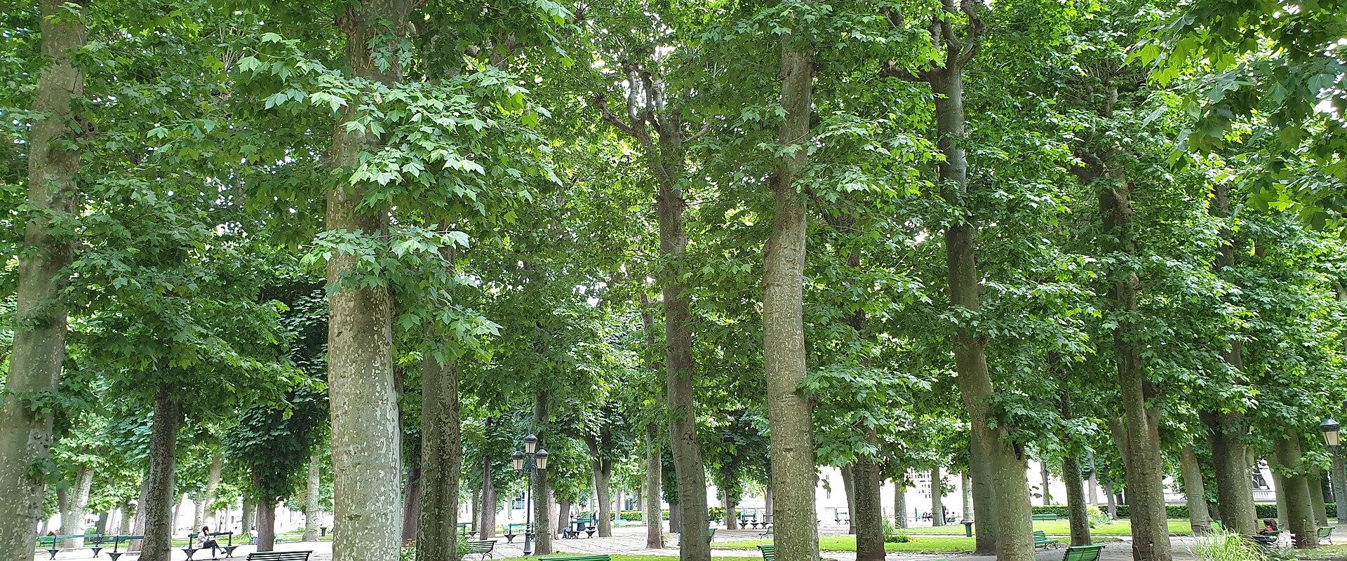 Parc des Sources