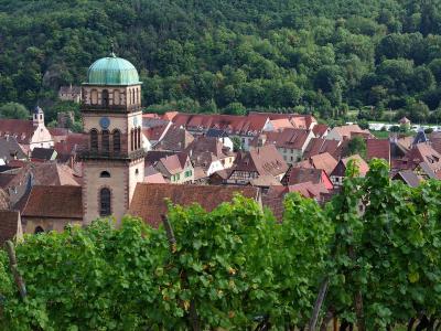 A view of the historic town of Kaysersberg in France, featuring its distinctive church tower with a green dome and traditional half-timbered houses, seen from behind rows of green grapevines in the foreground.