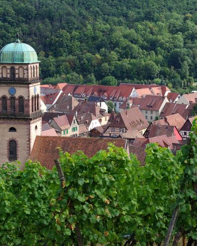 A view of the historic town of Kaysersberg in France, featuring its distinctive church tower with a green dome and traditional half-timbered houses, seen from behind rows of green grapevines in the foreground.