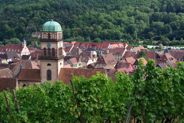 Vignoble de Kaysersberg