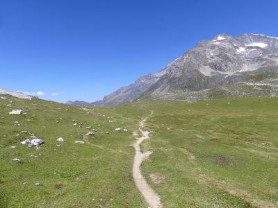 A dirt hiking trail winds through a high-altitude alpine meadow with scattered rocks and a large, rocky mountain peak in the background under a clear blue sky.