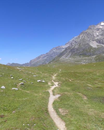 A dirt hiking trail winds through a high-altitude alpine meadow with scattered rocks and a large, rocky mountain peak in the background under a clear blue sky.