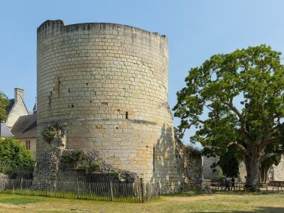 The image shows a large, cylindrical medieval stone tower with crenellated top, part of a fortified complex, set against a clear blue sky with green trees and grass in the foreground; no visible signage or text is present.