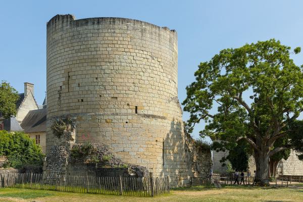 Château de Chinon