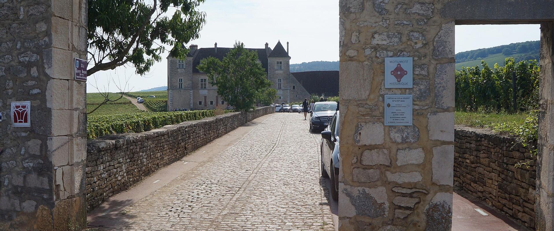 A view through a stone gateway onto a cobblestone driveway leading to a large chateau surrounded by vineyards, with informational plaques mounted on the gateway pillars.
