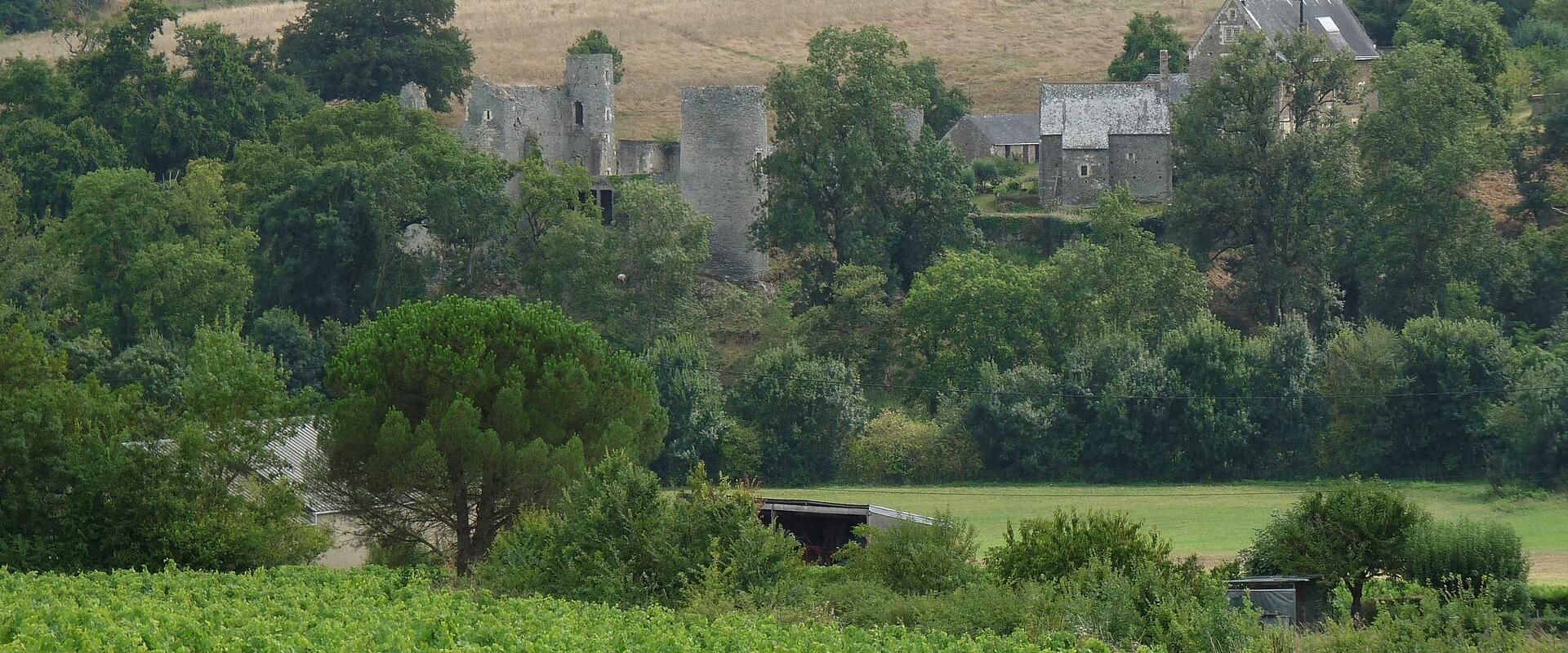 Château de La Guerche