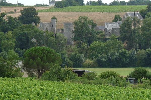Château de La Guerche