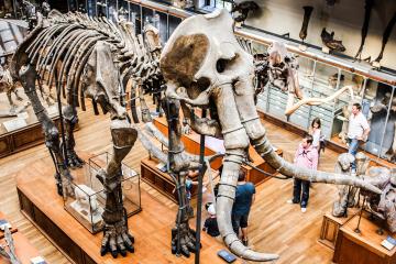 Natural History