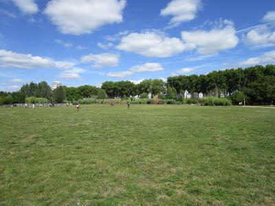 A wide, open grassy field under a blue sky with scattered clouds, bordered by a line of mature trees and some distant buildings, with a few people scattered across the lawn.