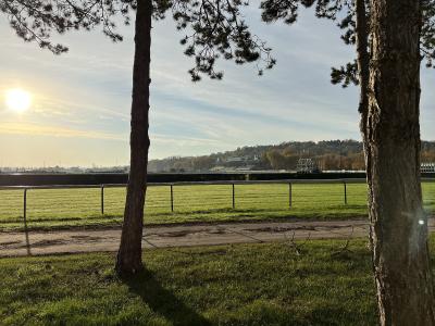 A grassy racecourse viewed through pine trees with a metal rail fence, showing a dirt path in the foreground and grandstand structures in the distance under a bright sky.