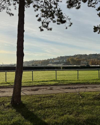 A grassy racecourse viewed through pine trees with a metal rail fence, showing a dirt path in the foreground and grandstand structures in the distance under a bright sky.