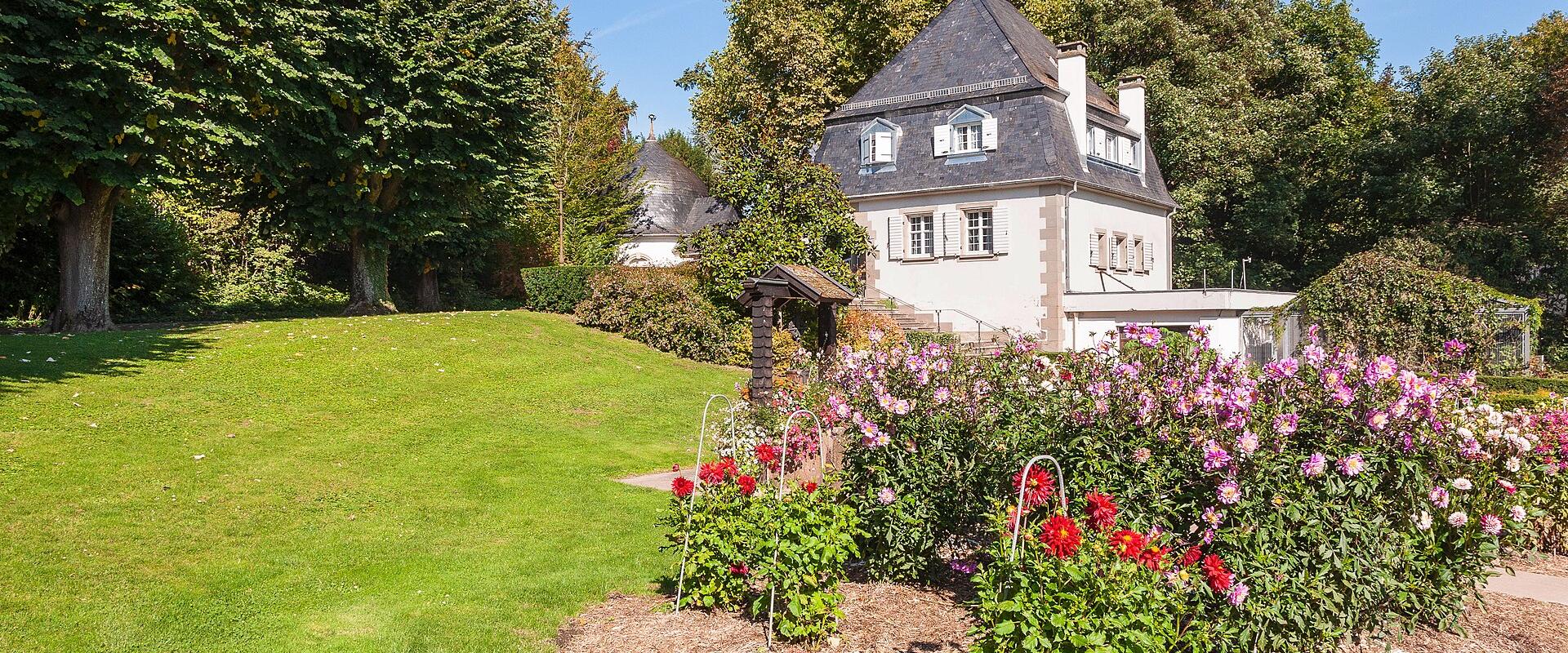 Jardin Botanique