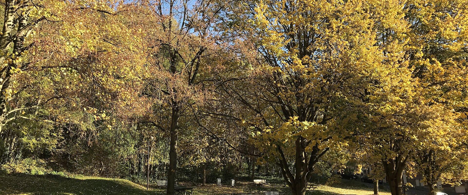 Parc de la Paix