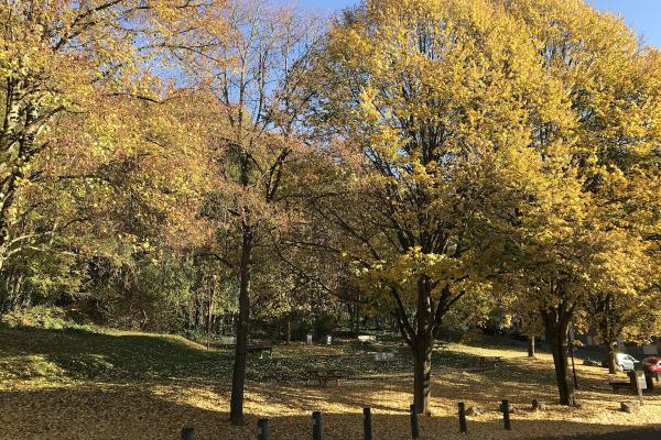 Parc de la Paix