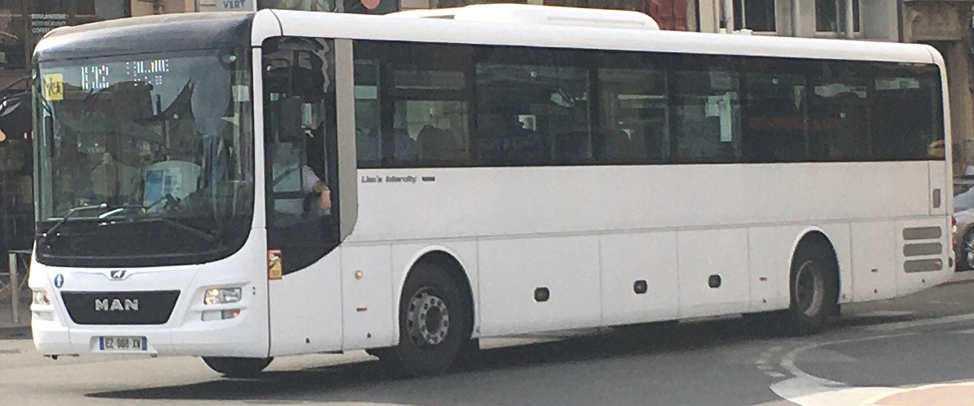 Intercity Bus Networks