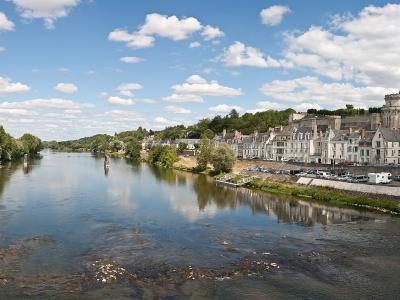 A panoramic view of the Loire River flowing past the town of Amboise, featuring the Château d'Amboise on the right bank under a blue sky with scattered clouds.