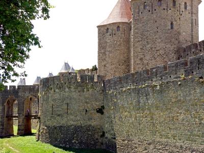 The image shows the stone ramparts and conical-roofed towers of the fortified city of Carcassonne, specifically the section near the Narbonne Gate (Porte Narbonnaise), with a grassy moat in the foreground.