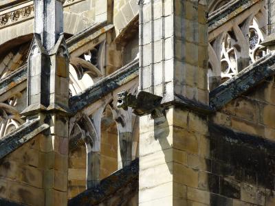 A close-up architectural detail showing a stone gargoyle and Gothic flying buttresses on a weathered limestone building.
