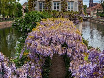 Strasbourg