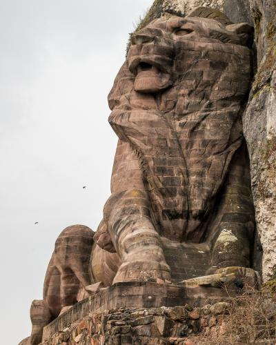 A low-angle photograph of the massive Lion of Belfort statue carved into the sandstone cliff face, showing its head, front paws, and part of its body against an overcast sky.