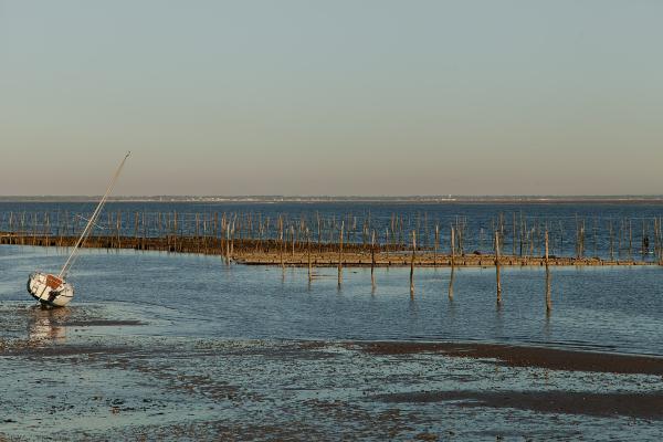 Cap Ferret Peninsula
