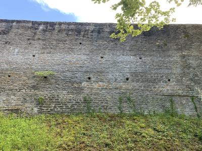 A close-up view of a weathered stone fortification wall with small square openings, set against a blue sky with tree branches in the upper right corner.