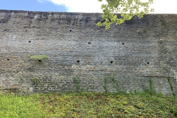 Les Remparts (Remnants of Fortifications)