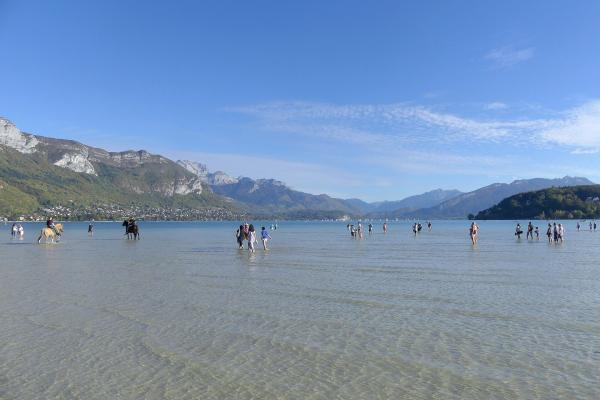 Marché d'Annecy