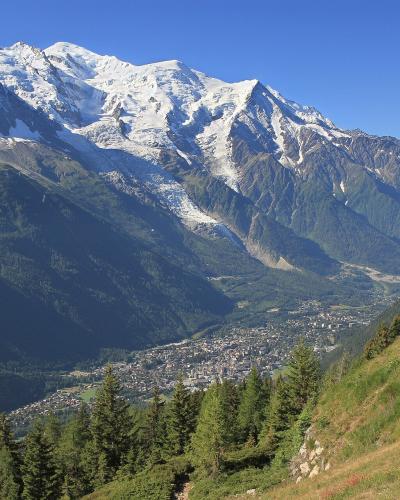 A high-angle landscape view of a town situated in a valley at the foot of a massive, snow-covered mountain range featuring a prominent glacier, with a grassy slope and trees in the foreground.