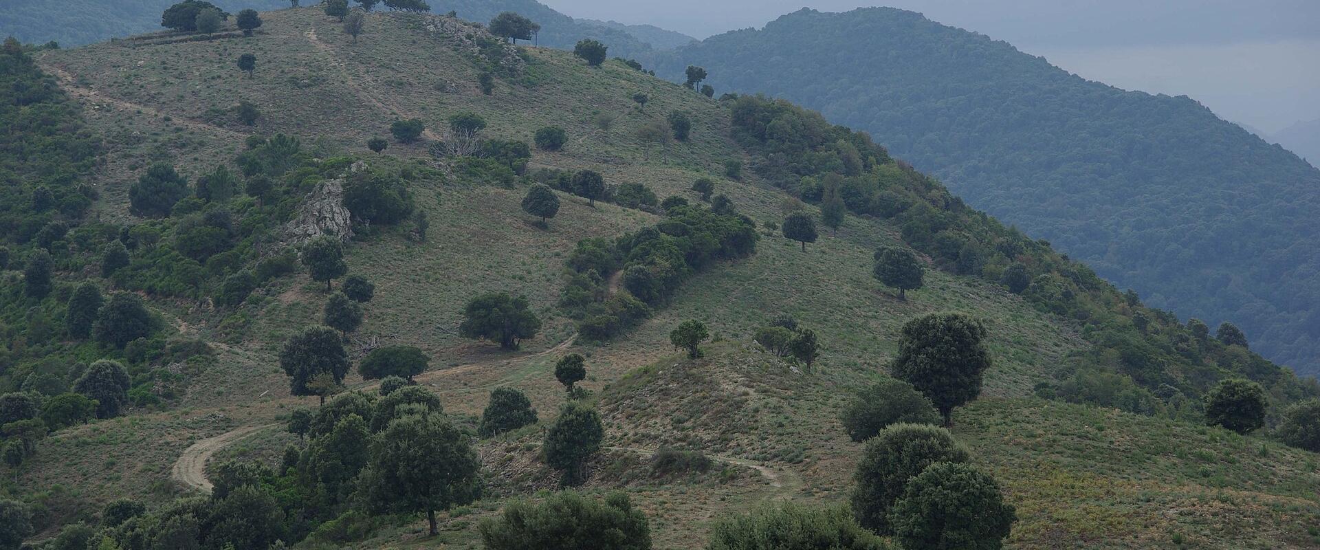 Parc Naturel Régional de Corse