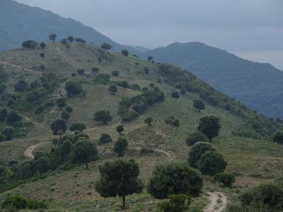 A mountain valley in the Parc naturel régional de Corse
