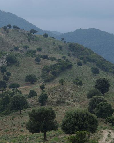 A mountain valley in the Parc naturel régional de Corse
