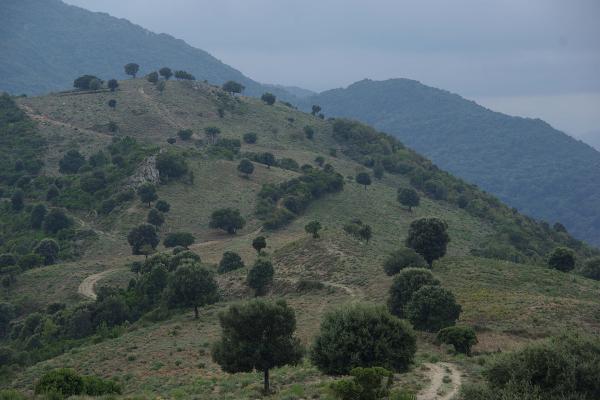 Parc Naturel Régional de Corse