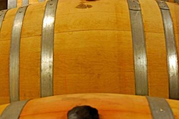 Wine Tours