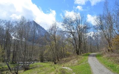 A gravel hiking trail winds through a grassy, wooded area with bare trees and a small stream on the left, leading toward snow-dusted mountains under a blue sky with clouds.