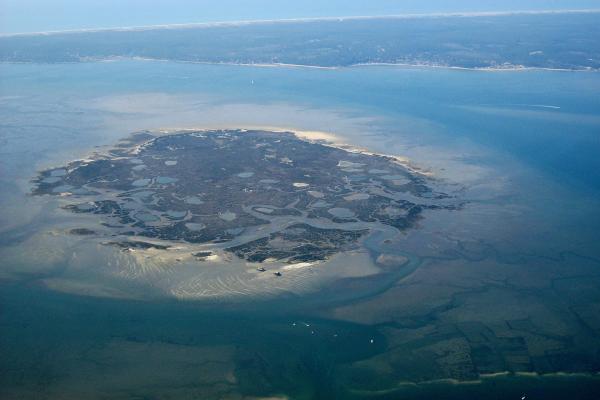 Île aux Oiseaux