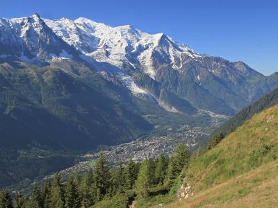 A high-angle view of a mountain valley with a town nestled at the base of a massive snow-capped peak and glacier, taken from a grassy slope with trees in the foreground under a clear blue sky.