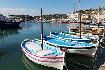 Cassis