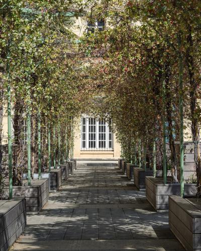 A pergola walkway lined with climbing vines leads through the courtyard of Musée Fesch.