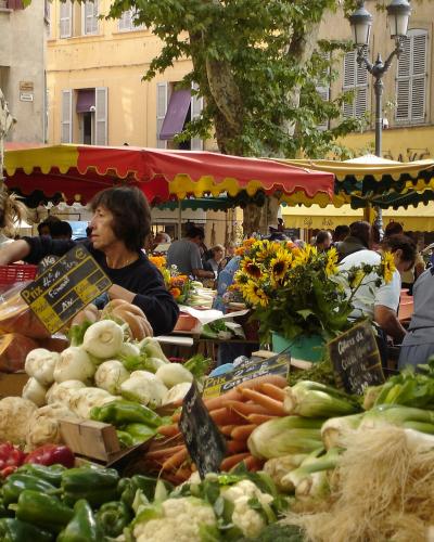 Produce stalls under the plane trees at the Aix-en-Provence market
