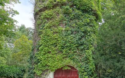 A tall, cylindrical stone tower heavily covered in green ivy with a red wooden door at its base, situated in a grassy garden area.