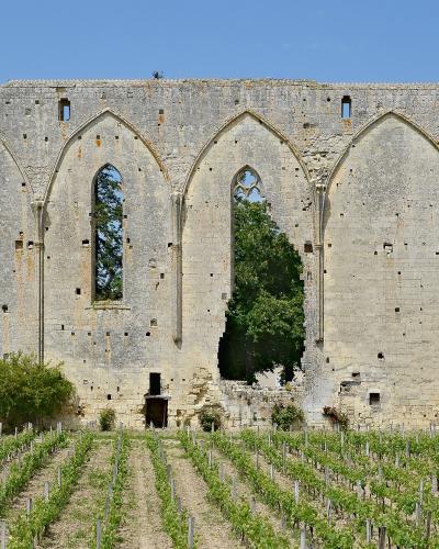 A stone ruin with three large Gothic arches stands behind rows of grapevines, with a sign in the foreground reading "CHATEAU LES GRANDES MURAILLES Grand Cru Classé".