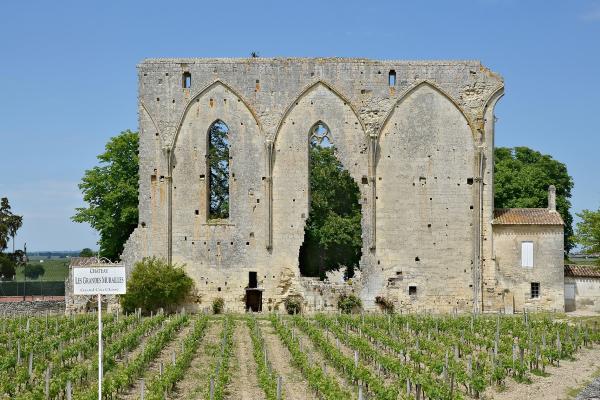 Vineyards of Saint-Émilion