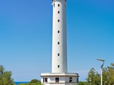 1. A tall, white cylindrical lighthouse with a black lantern room and gallery, standing on a rocky coastal promontory with green vegetation, a paved road in the foreground, and a clear blue sky; no visible signage or text identifying location.