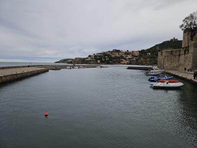 The harbour of Collioure beneath the royal castle