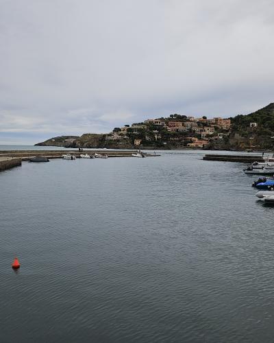 The harbour of Collioure beneath the royal castle