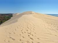 The Dune of Pilat